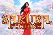 Sakura Fortune pisipilt